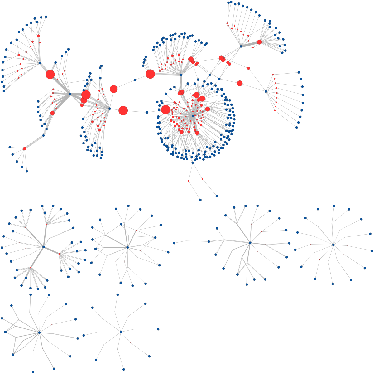 Netzwerkgrafik aus roten und blauen Punkten, die über graue Linien zu sternförmigen Gruppen verbunden sind; oben ein großer zusammenhängender Verbund, darunter sieben kleinere, voneinander getrennte Gruppen